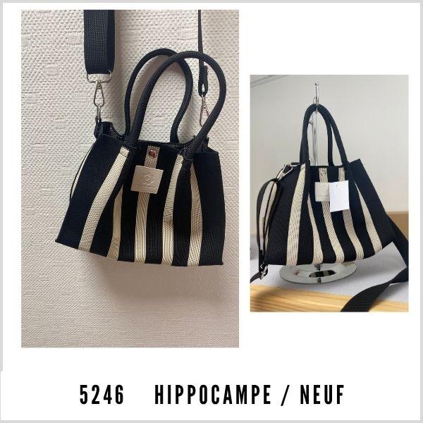 5246 hippo